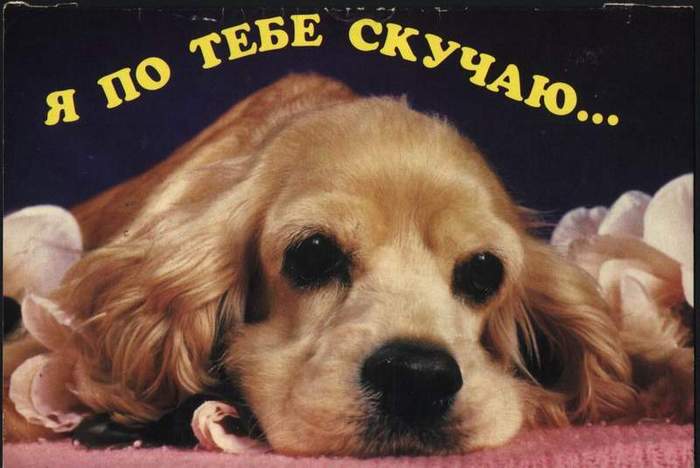  (700x468, 37Kb)