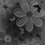  (150x150, 9Kb)