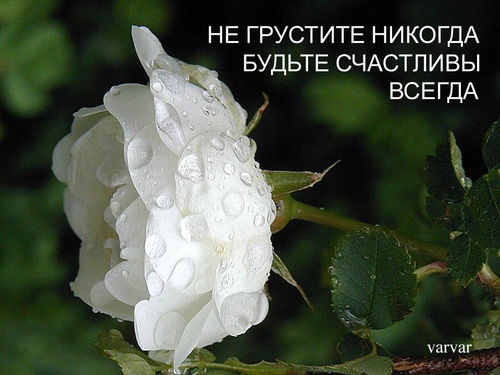  (500x375, 42Kb)