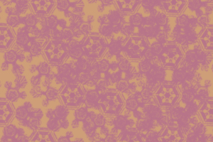  (300x200, 77Kb)