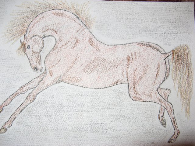  (640x480, 83Kb)