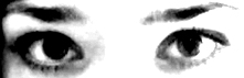  (221x71, 30Kb)