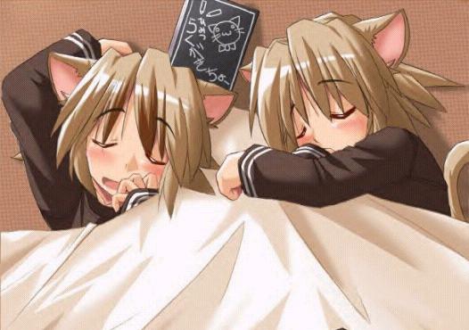  (526x370, 33Kb)