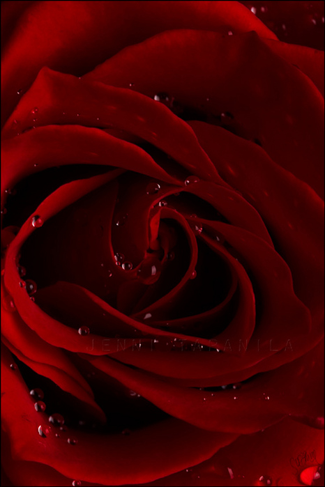  (466x699, 152Kb)