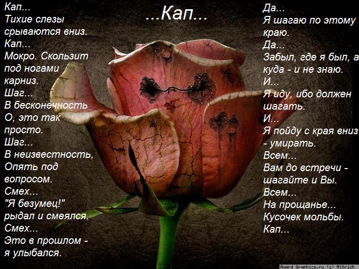  (700x525, 97Kb)
