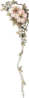  (99x331, 11Kb)