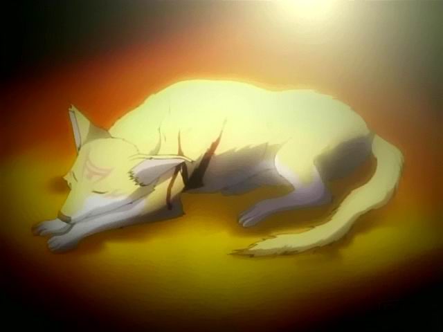  (640x480, 20Kb)