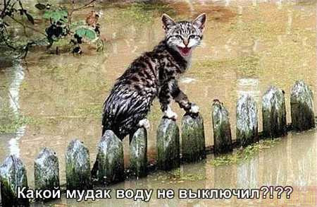  (450x293, 46Kb)