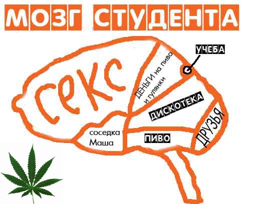  (505x408, 37Kb)