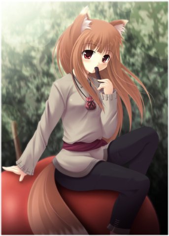  (343x480, 28Kb)