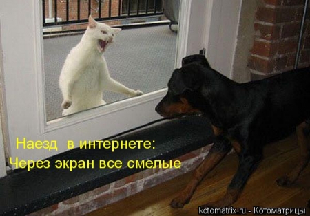  (450x314, 105Kb)