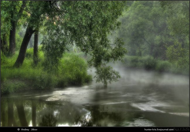  (650x450, 68Kb)