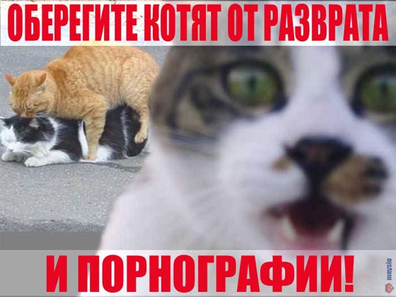  (560x420, 56Kb)
