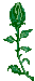  (33x75, 3Kb)