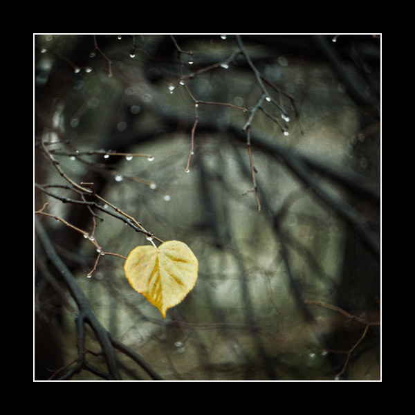  (600x600, 90Kb)
