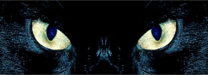  (698x253, 41Kb)