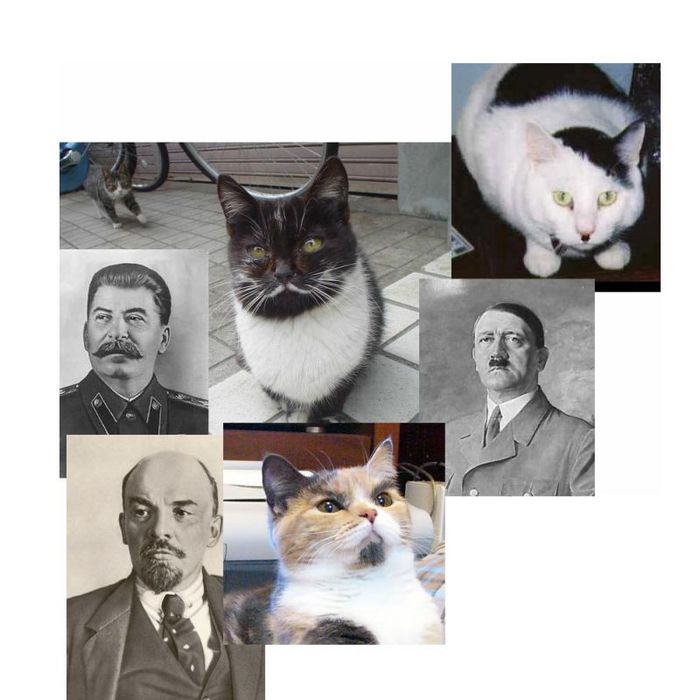  (700x700, 61Kb)