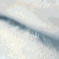  (120x120, 313Kb)