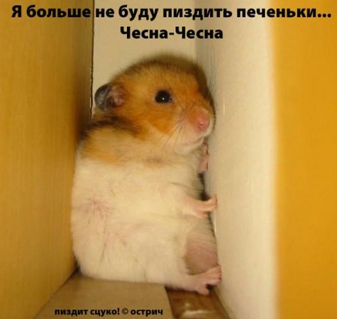  (475x450, 34Kb)