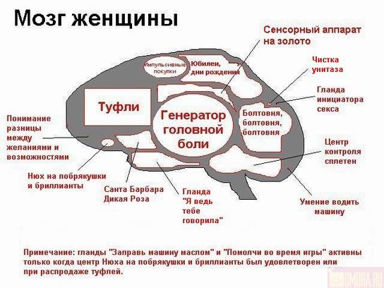  (544x408, 63Kb)
