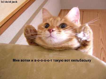  (450x337, 10Kb)