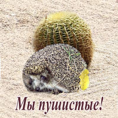 (400x400, 68Kb)
