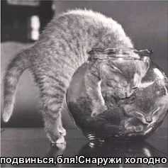  (237x237, 7Kb)