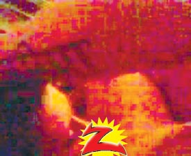  (275x225, 13Kb)