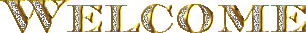  (306x33, 8Kb)
