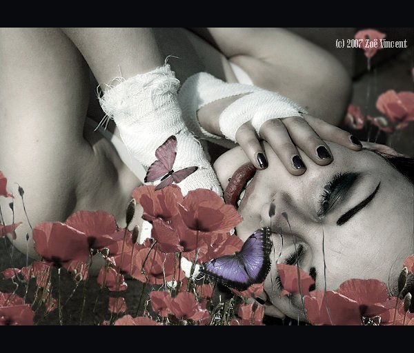  (600x512, 64Kb)