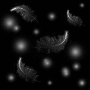  (300x300, 14Kb)