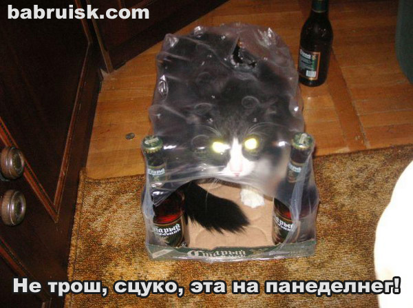  (600x447, 130Kb)