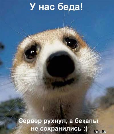  (400x472, 26Kb)
