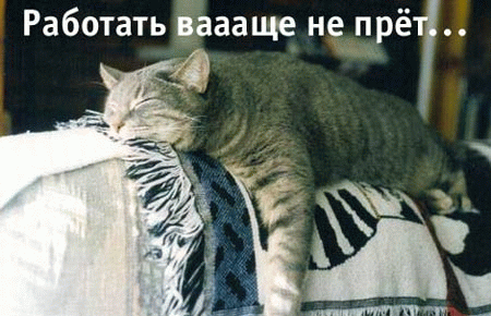  (450x290, 98Kb)