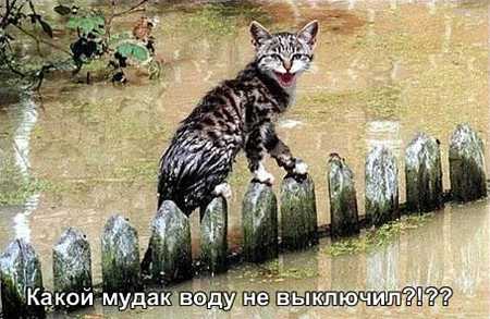  (450x293, 25Kb)