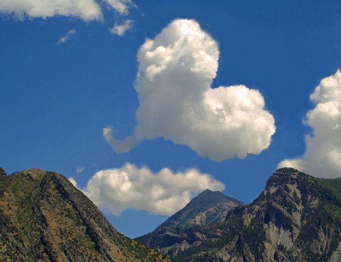  (700x538, 55Kb)