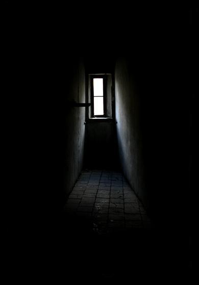  (390x559, 17Kb)
