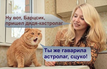  (450x290, 60Kb)