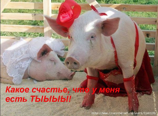  (600x440, 52Kb)