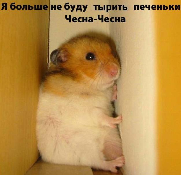  (626x606, 34Kb)
