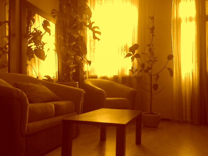  (700x525, 51Kb)
