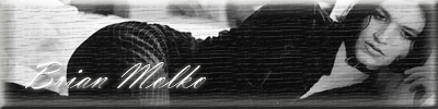  (400x100, 55Kb)