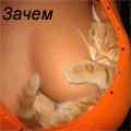  (120x120, 30Kb)