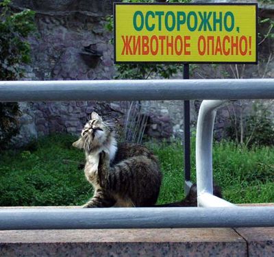  (400x375, 38Kb)