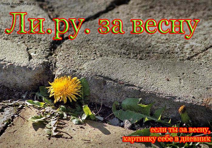  (699x486, 158Kb)