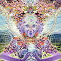  (120x120, 24Kb)