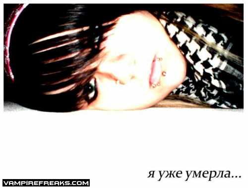  (500x379, 17Kb)