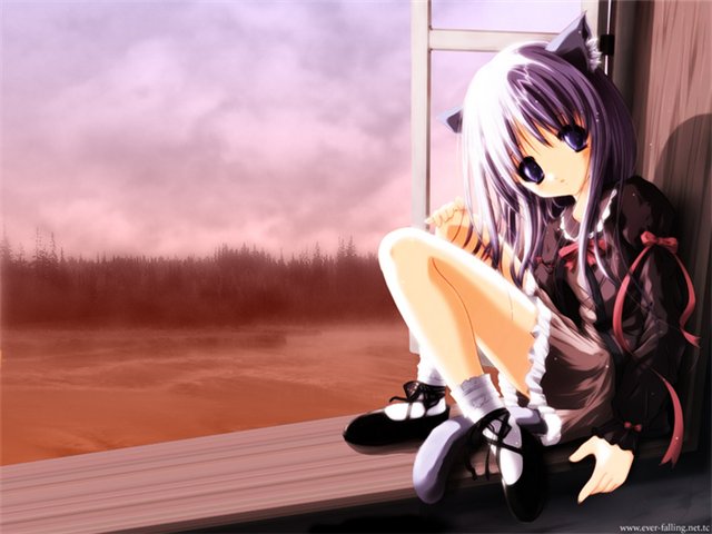  (640x480, 48Kb)