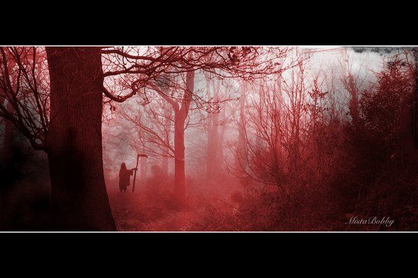  (600x400, 44Kb)