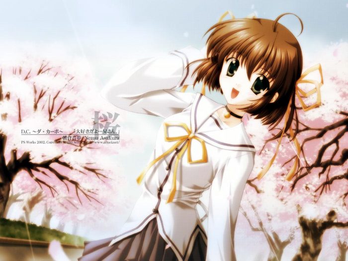  (700x525, 63Kb)
